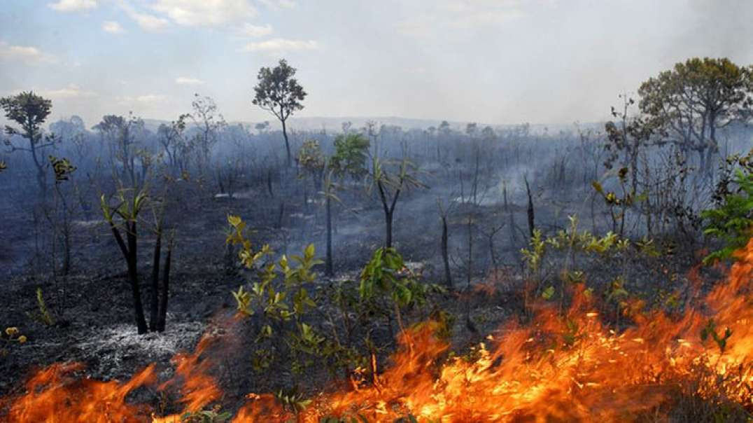 Área Pegou Fogo - São José Do Rio Preto  - SP