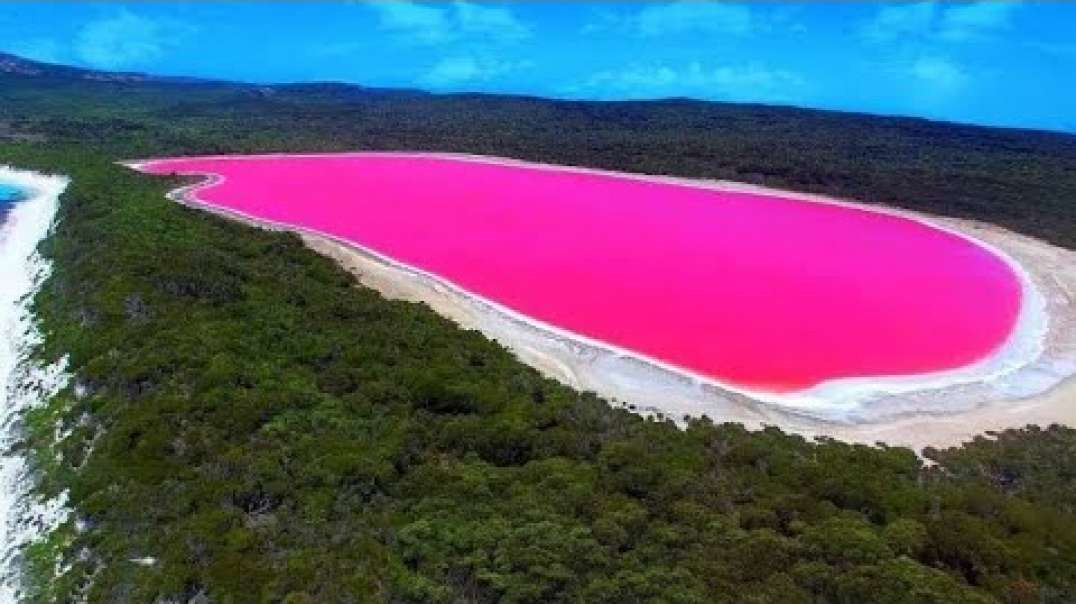 Conheça o Lago Cor De Rosa