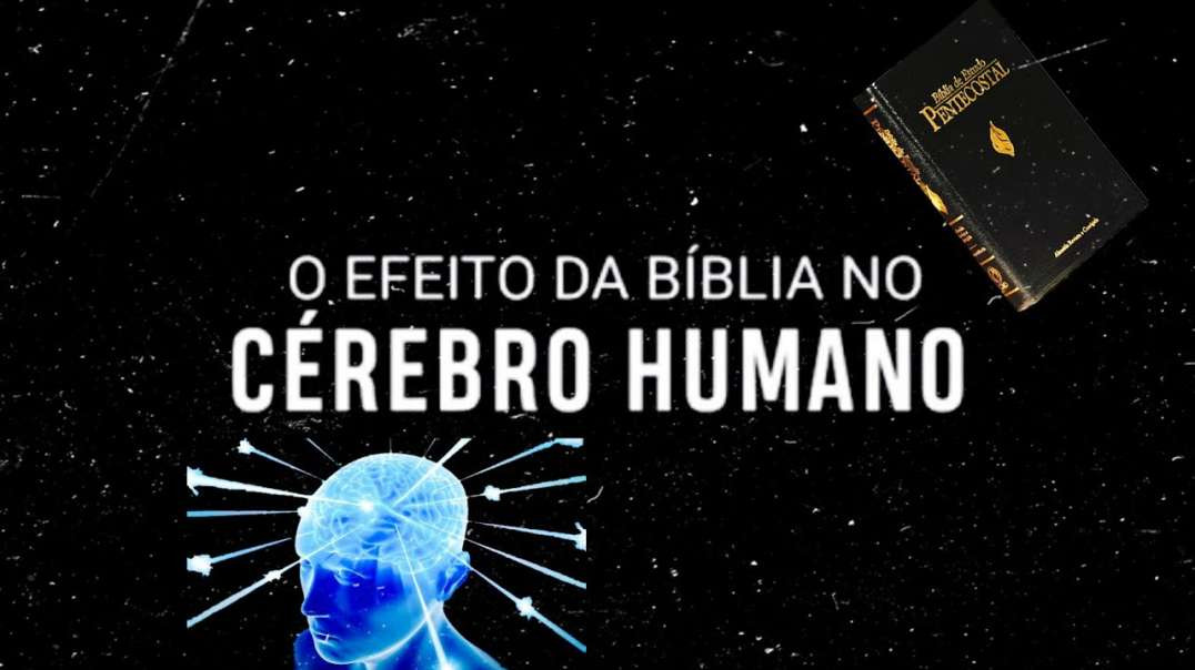 Veja O Que a Bíblia Faz No Cérebro do Ser Humano !