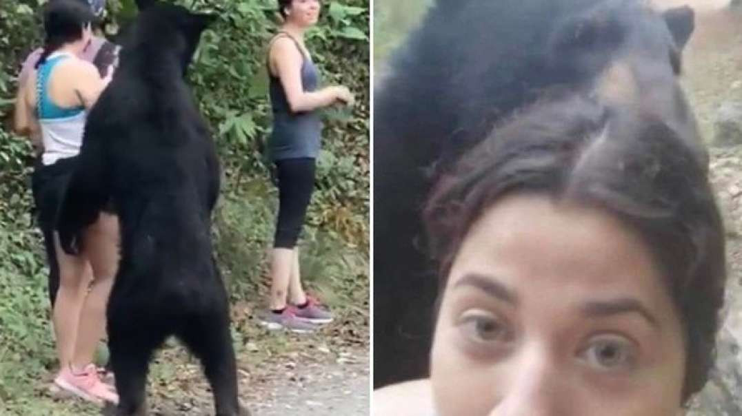 Jovem ignora o perigo e tira selfie durante 'revista' de urso em parque