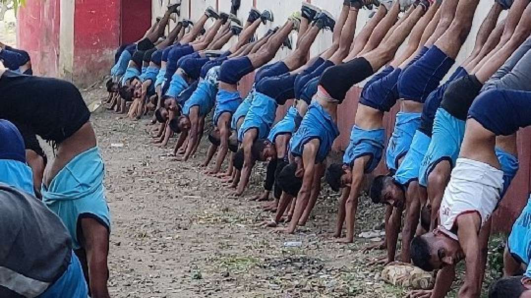Treinamentos