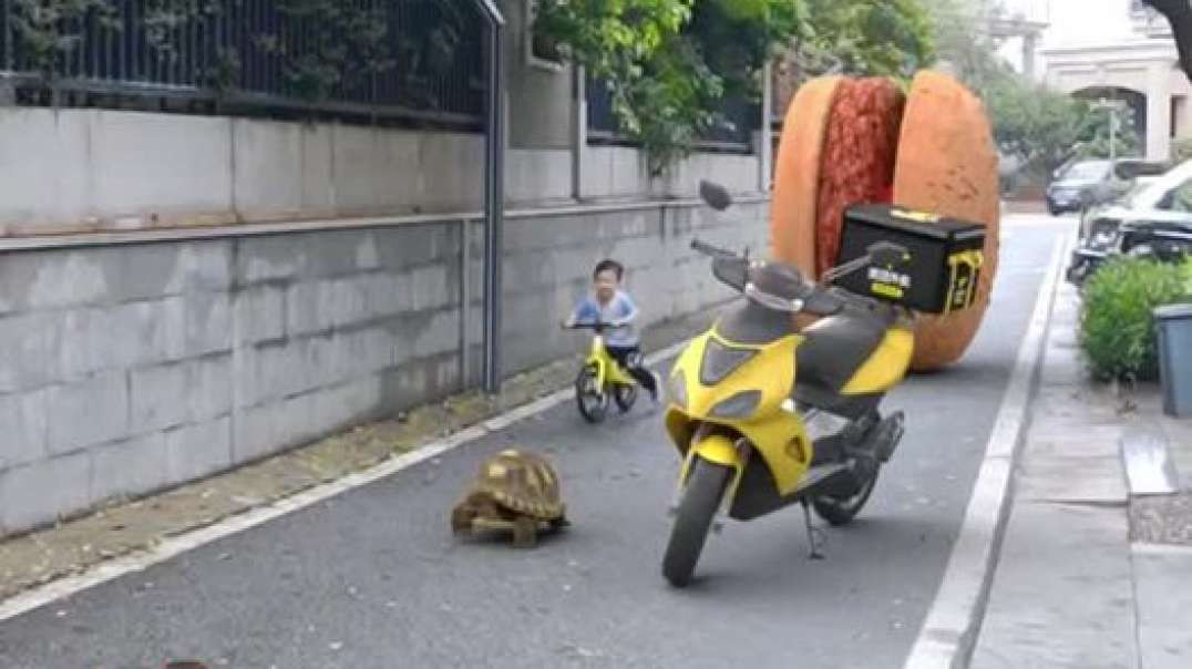 Quando Voce Não Corre Atraz Do Lanche Ele Corre Atraz De Voce