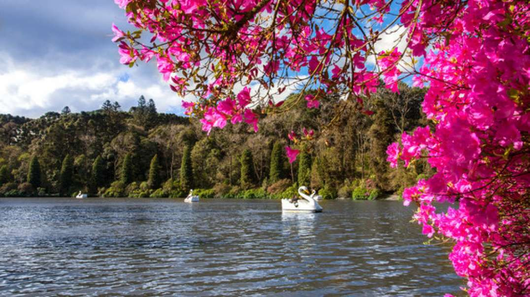 Lago Negro em Gramado (RS)