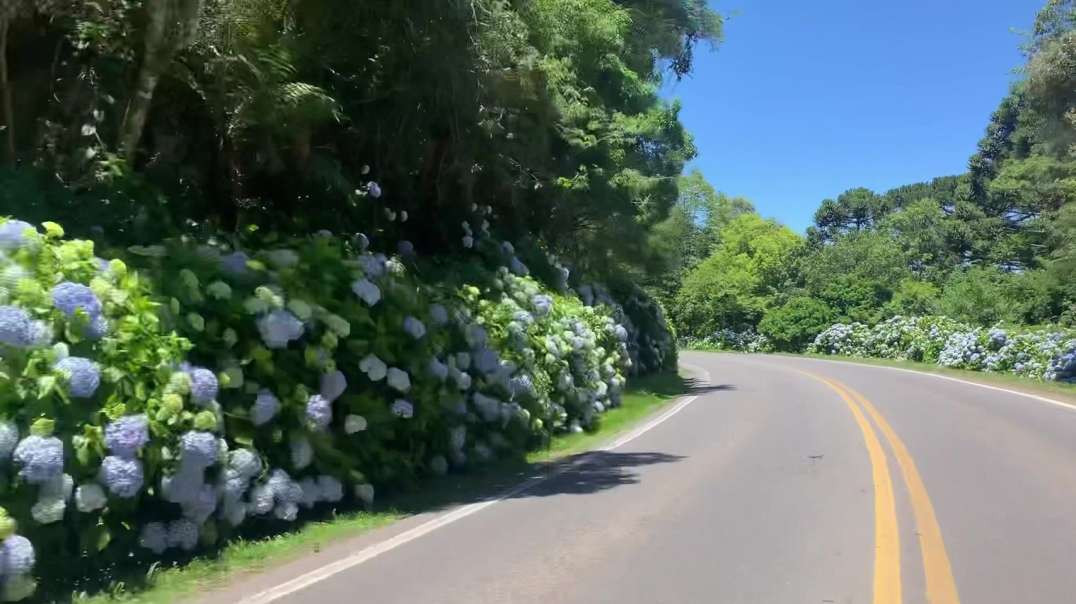 Chegando em Gramado