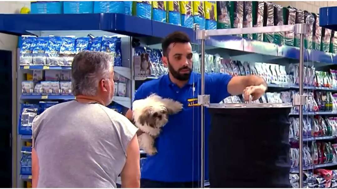 Pegadinha ! O cachorro que vira papel