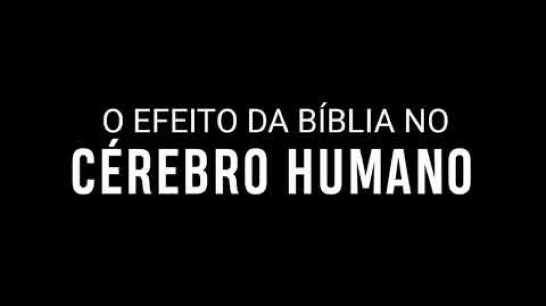 Veja O Que a Bíblia Faz No Cérebro do Ser Humano !.