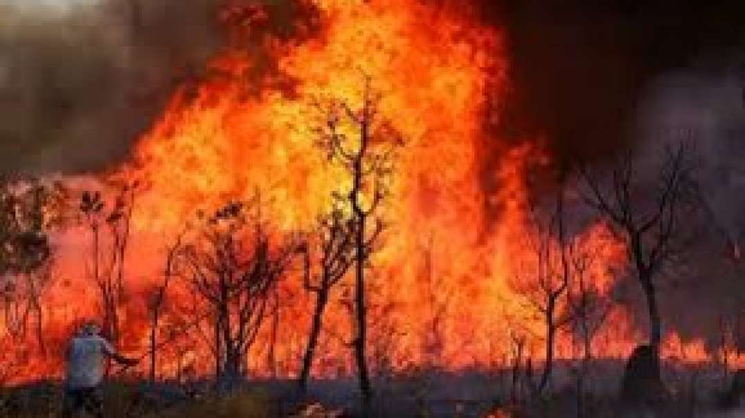 Veja imagens aéreas do incêndio no Parque Nacional de Brasília